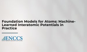 Machine-Learned Interatomic Potentials in Practice